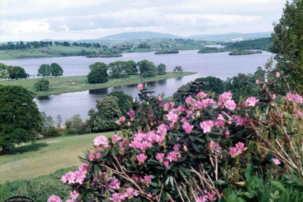 Glenmount Castleblayney Villa Kültér fotó